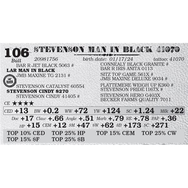 STEVENSON MAN IN BLACK 41070