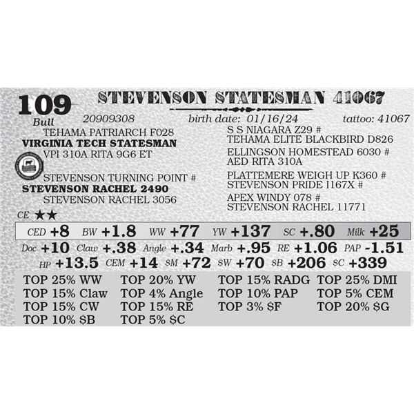 STEVENSON STATESMAN 41067