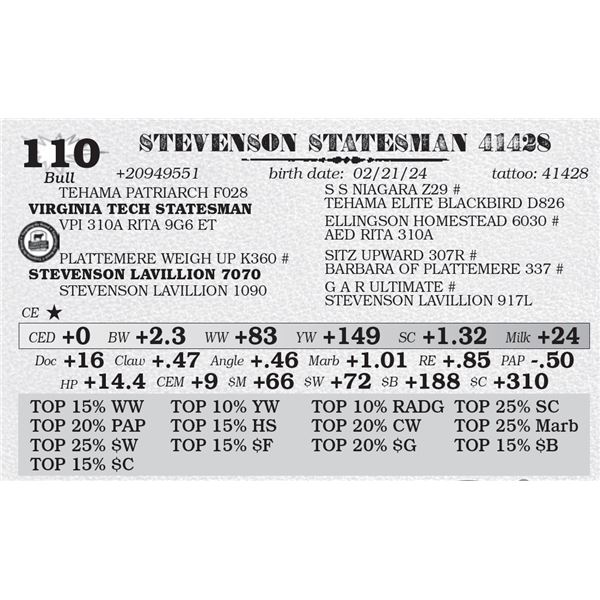 STEVENSON STATESMAN 41428