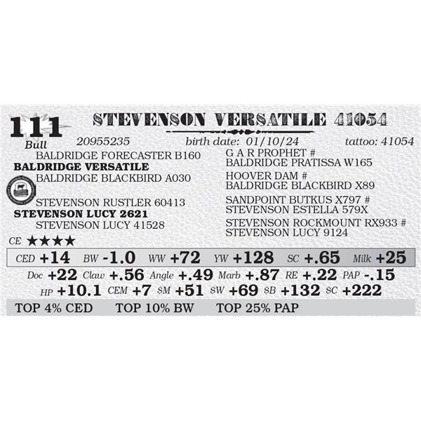 STEVENSON VERSATILE 41054