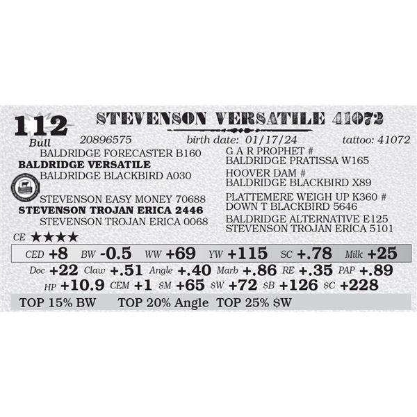 STEVENSON VERSATILE 41072