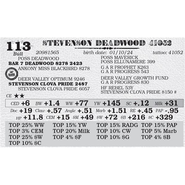 STEVENSON DEADWOOD 41052