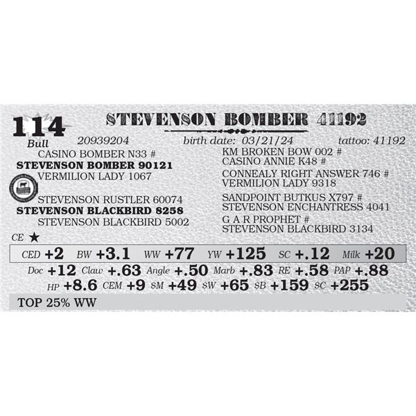 STEVENSON BOMBER 41192