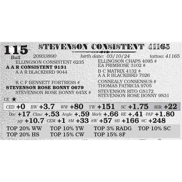 STEVENSON CONSISTENT 41165
