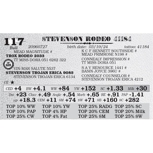 STEVENSON RODEO 41184