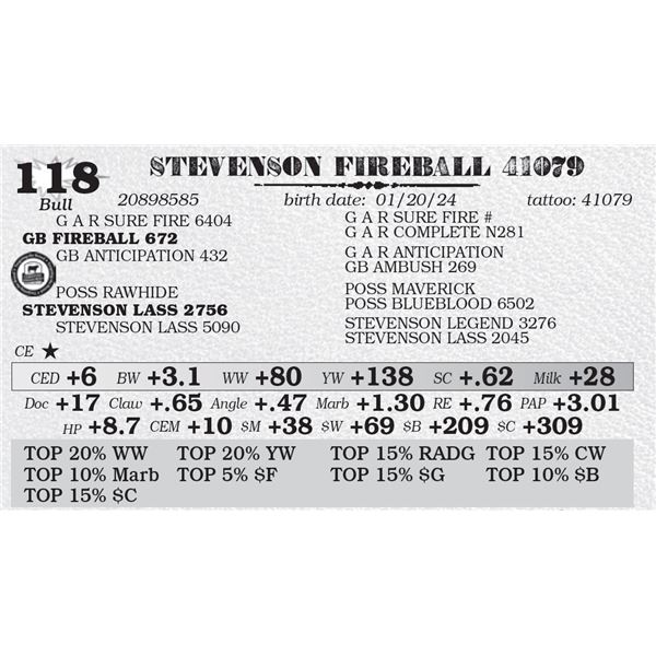 STEVENSON FIREBALL 41079