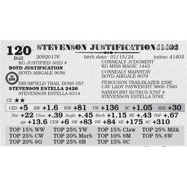 STEVENSON JUSTIFICATION41402