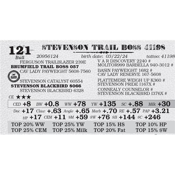 STEVENSON TRAIL BOSS 41198