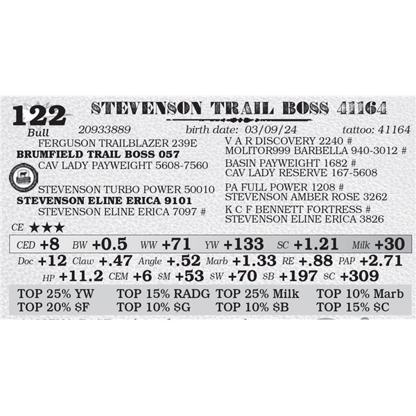 STEVENSON TRAIL BOSS 41164