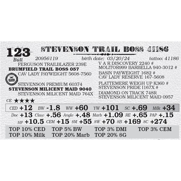 STEVENSON TRAIL BOSS 41186