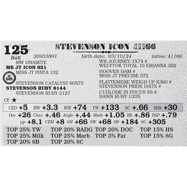 STEVENSON ICON 41166