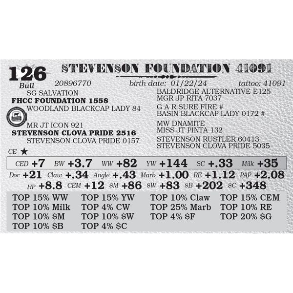 STEVENSON FOUNDATION 41091