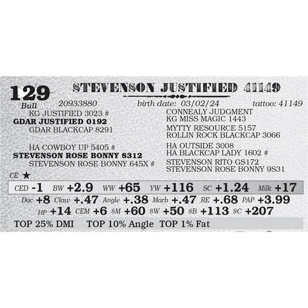 STEVENSON JUSTIFIED 41149