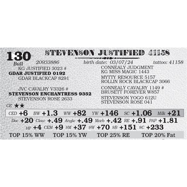 STEVENSON JUSTIFIED 41158