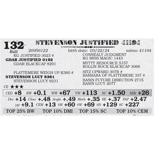 STEVENSON JUSTIFIED 41194
