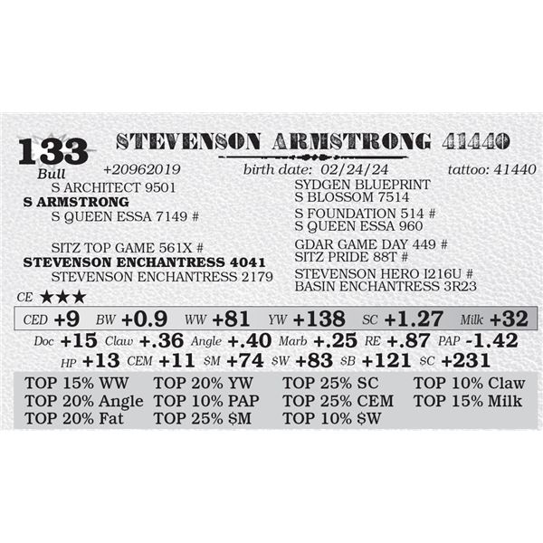 STEVENSON ARMSTRONG 41440