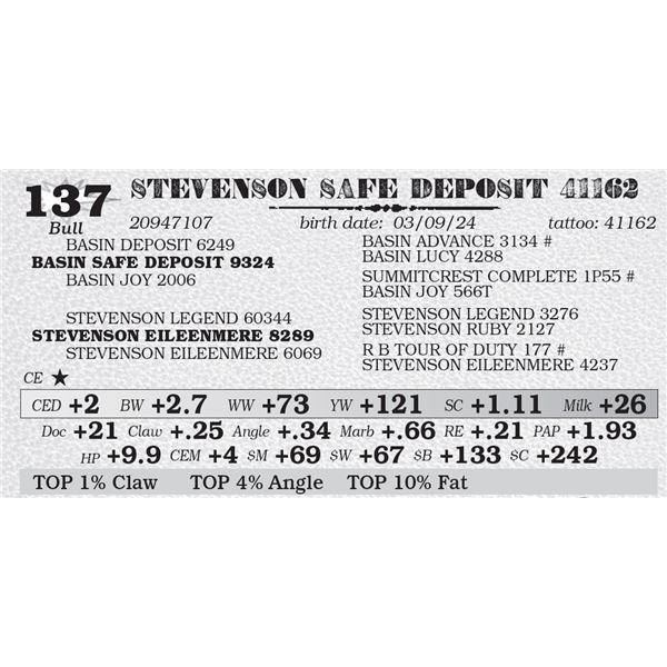 STEVENSON SAFE DEPOSIT 41162