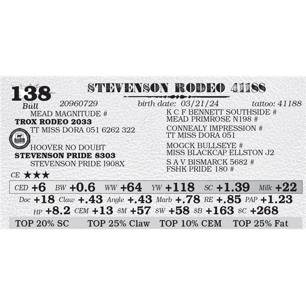 STEVENSON RODEO 41188