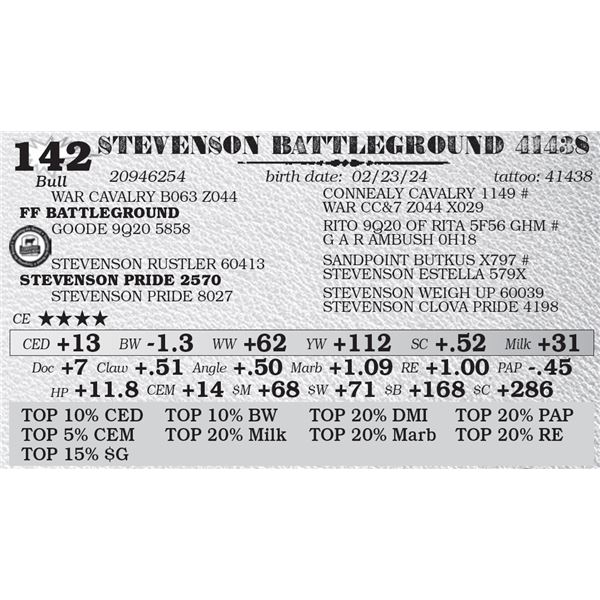 STEVENSON BATTLEGROUND 41438