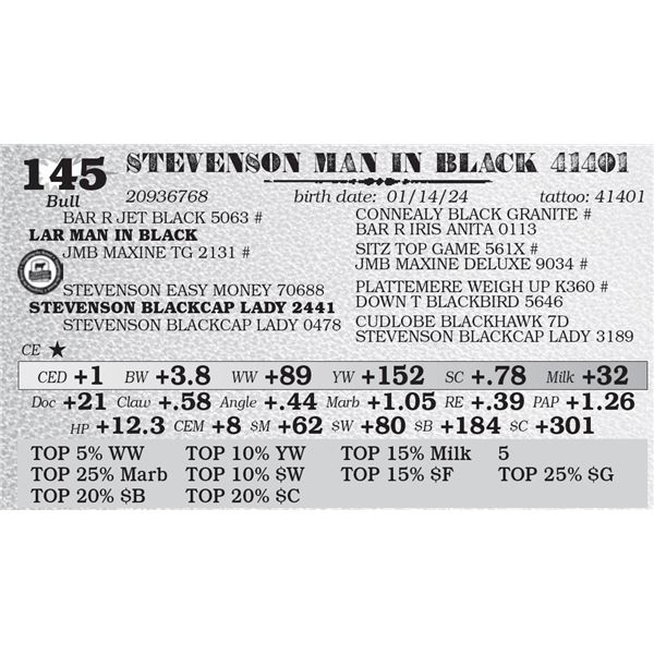 STEVENSON MAN IN BLACK 41401