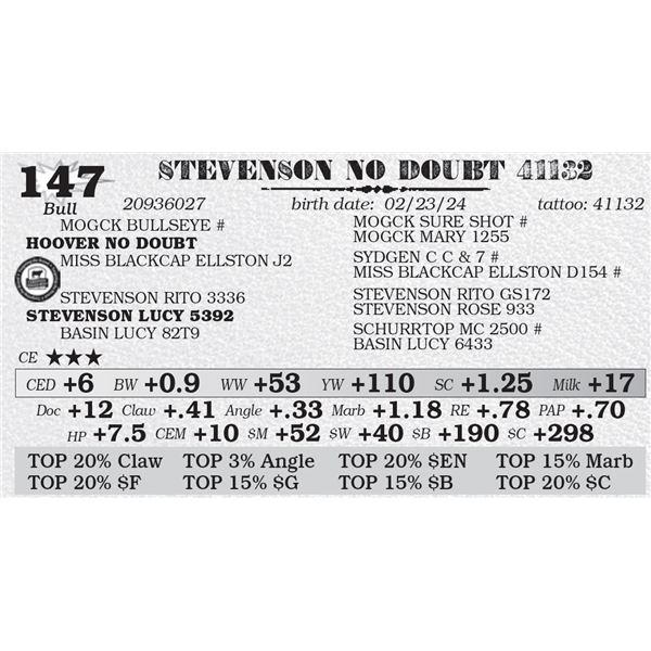 STEVENSON NO DOUBT 41132