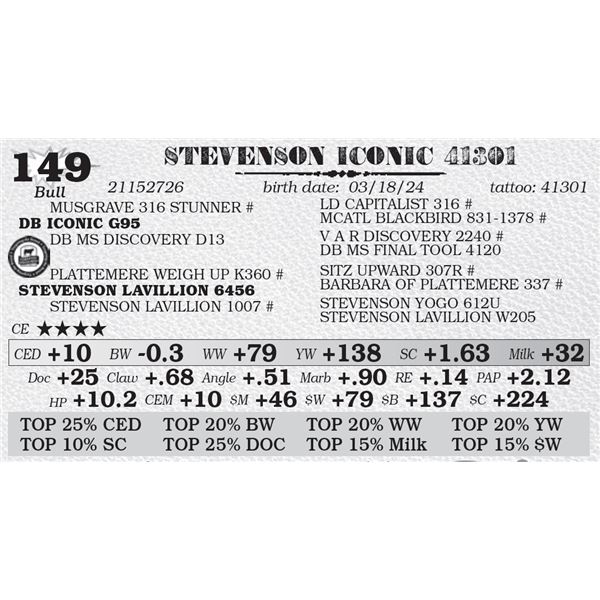 STEVENSON ICONIC 41301