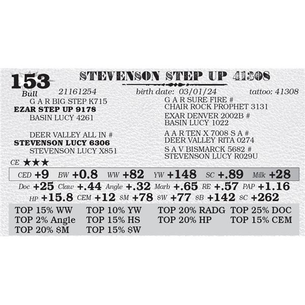STEVENSON STEP UP 41308