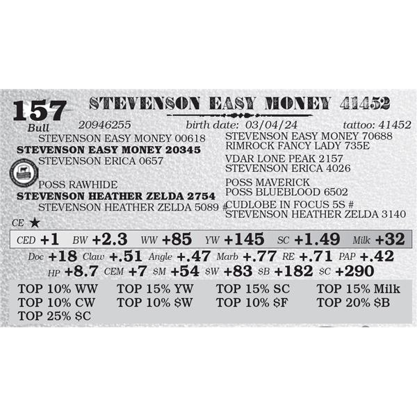 STEVENSON EASY MONEY 41452