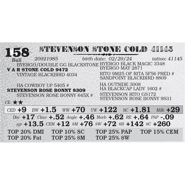 STEVENSON STONE COLD 41145