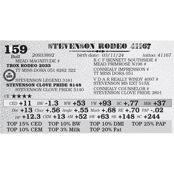 STEVENSON RODEO 41167