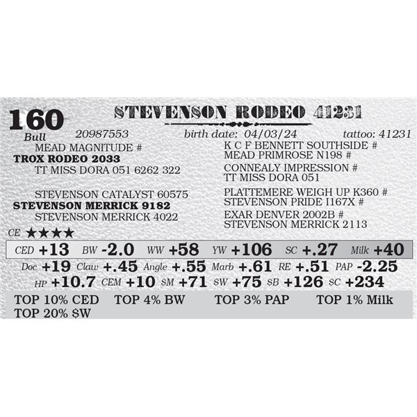 STEVENSON RODEO 41231