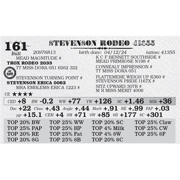 STEVENSON RODEO 41355