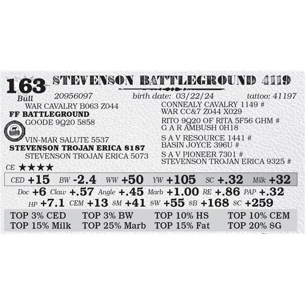 STEVENSON BATTLEGROUND 4119