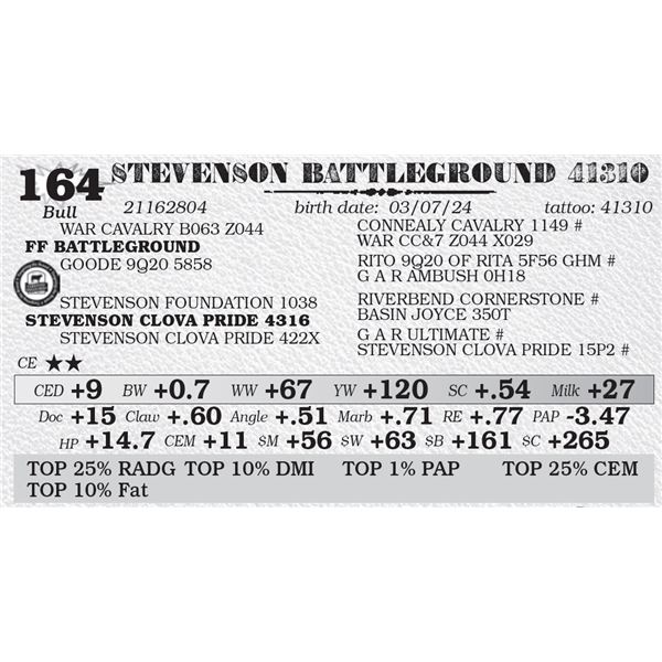 STEVENSON BATTLEGROUND 41310