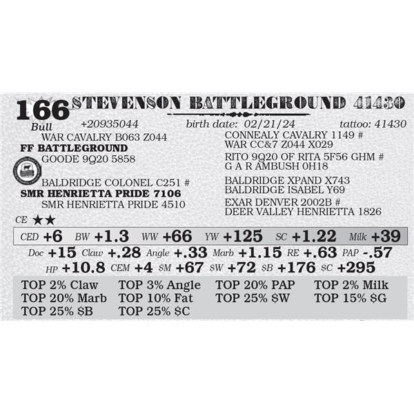 STEVENSON BATTLEGROUND 41430