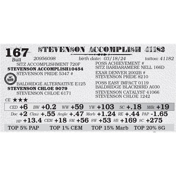 STEVENSON ACCOMPLISH 41182