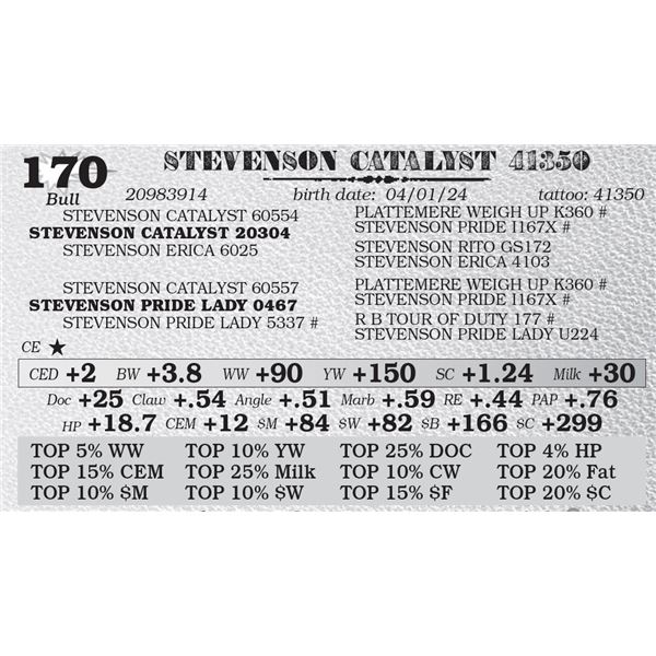 STEVENSON CATALYST 41350