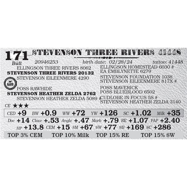 STEVENSON THREE RIVERS 41448