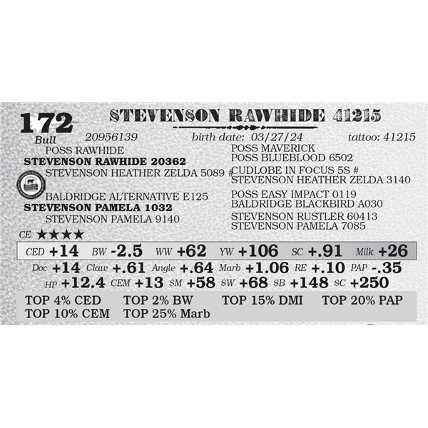 STEVENSON RAWHIDE 41215