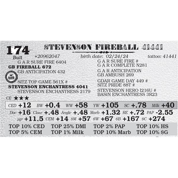 STEVENSON FIREBALL 41441