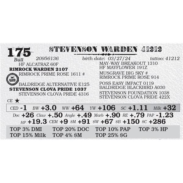 STEVENSON WARDEN 41212