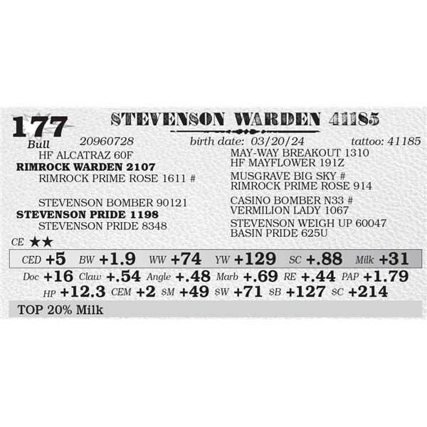 STEVENSON WARDEN 41185