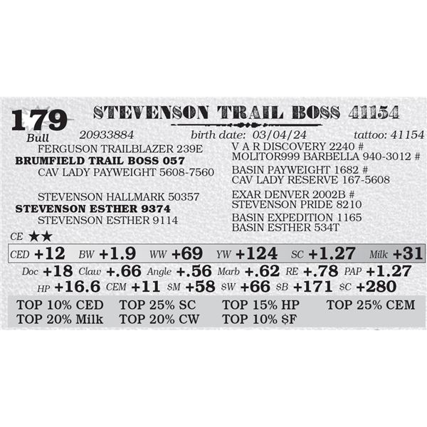 STEVENSON TRAIL BOSS 41154