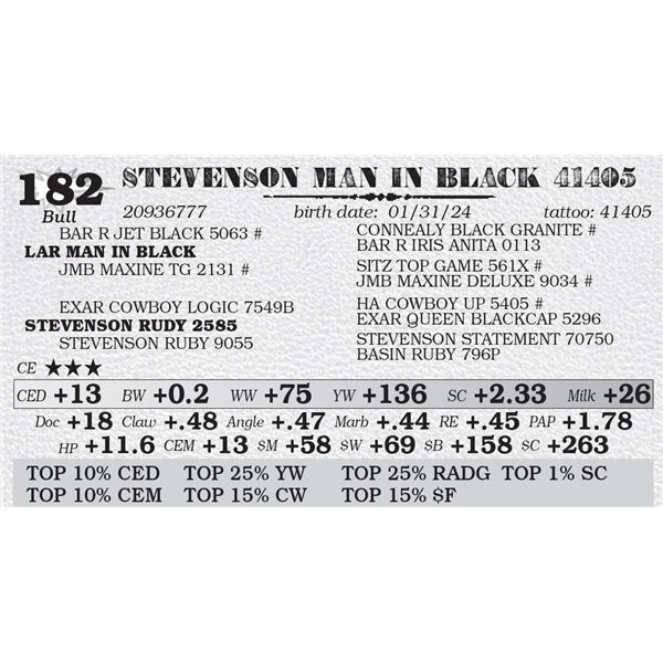 STEVENSON MAN IN BLACK 41405