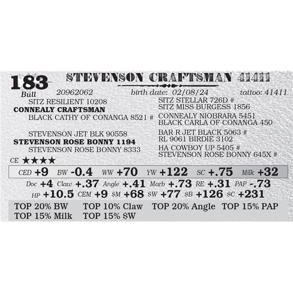 STEVENSON CRAFTSMAN 41411