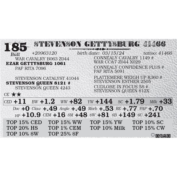 STEVENSON GETTYSBURG 41466