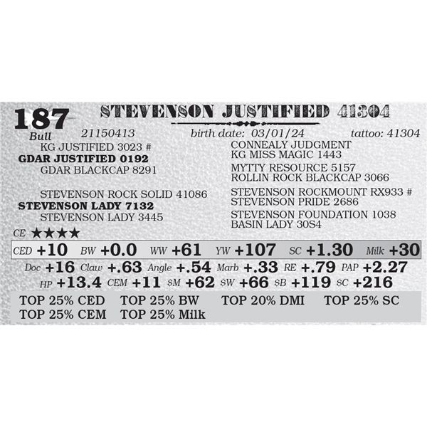 STEVENSON JUSTIFIED 41304