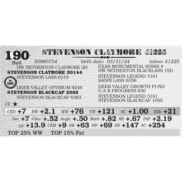 STEVENSON CLAYMORE 41225