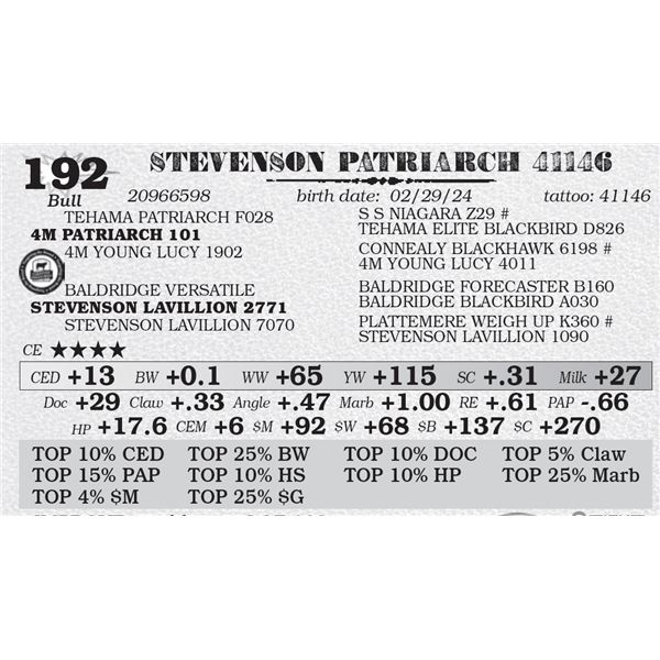 STEVENSON PATRIARCH 41146