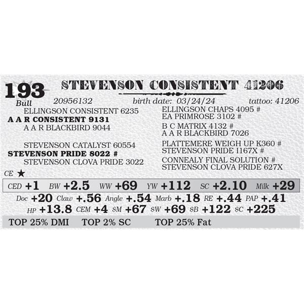 STEVENSON CONSISTENT 41206